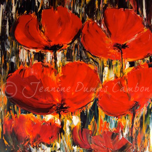 Papavéracées dans les champs