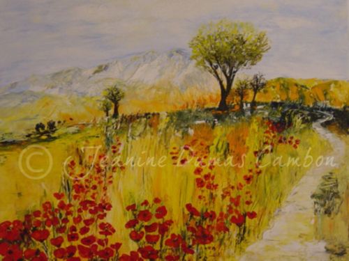 Coquelicots en Provence