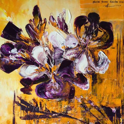 Iris